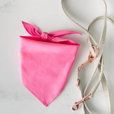 Personalized Dog Birthday Party Bandanas - Small / Pink - Wingpress Designs