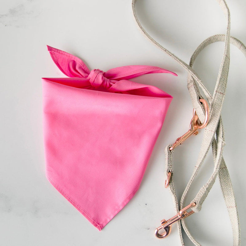 Personalized Dog Birthday Party Bandanas - Small / Pink - Wingpress Designs