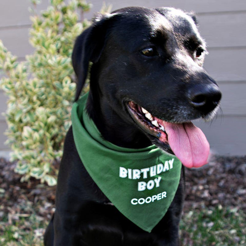 Personalized Dog Birthday Party Bandanas - - Wingpress Designs