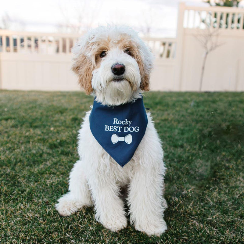 Personalized Wedding Dog Bandanas - - Wingpress Designs