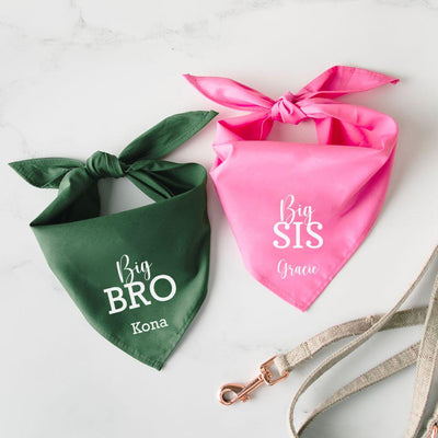Personalized Dog Bandanas -  - Wingpress Designs