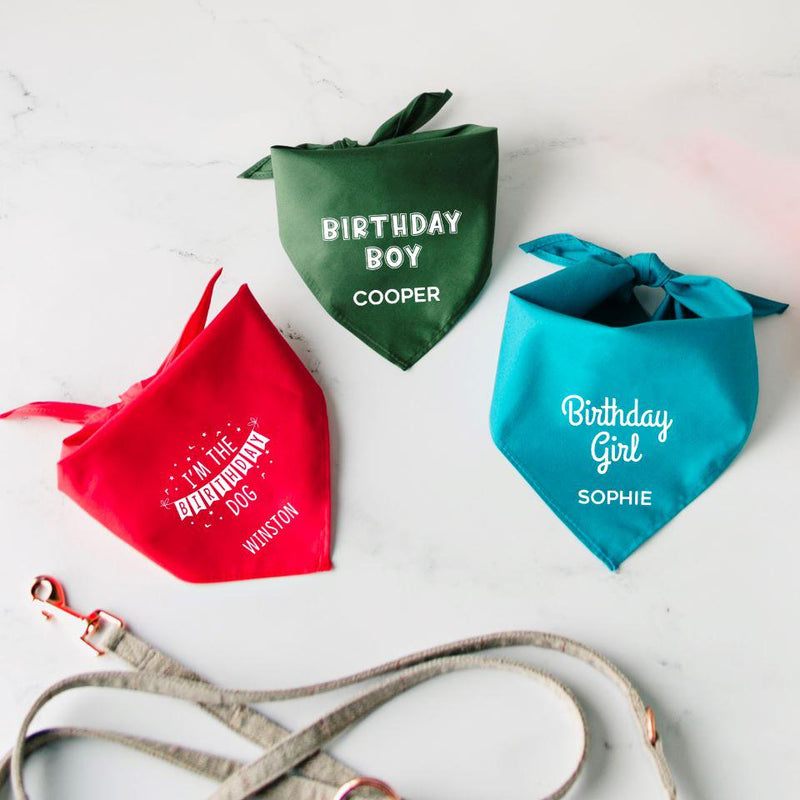 Personalized Dog Birthday Party Bandanas - - Wingpress Designs