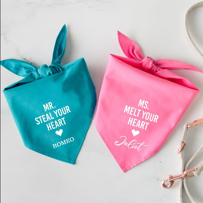Personalized Dog Bandanas -  - Wingpress Designs