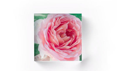 Personalized Acrylic Photo Display Blocks -  - Qualtry